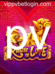 RoosterInLove: Descobrindo o Universo Único de Pv com Galos Apaixonados
